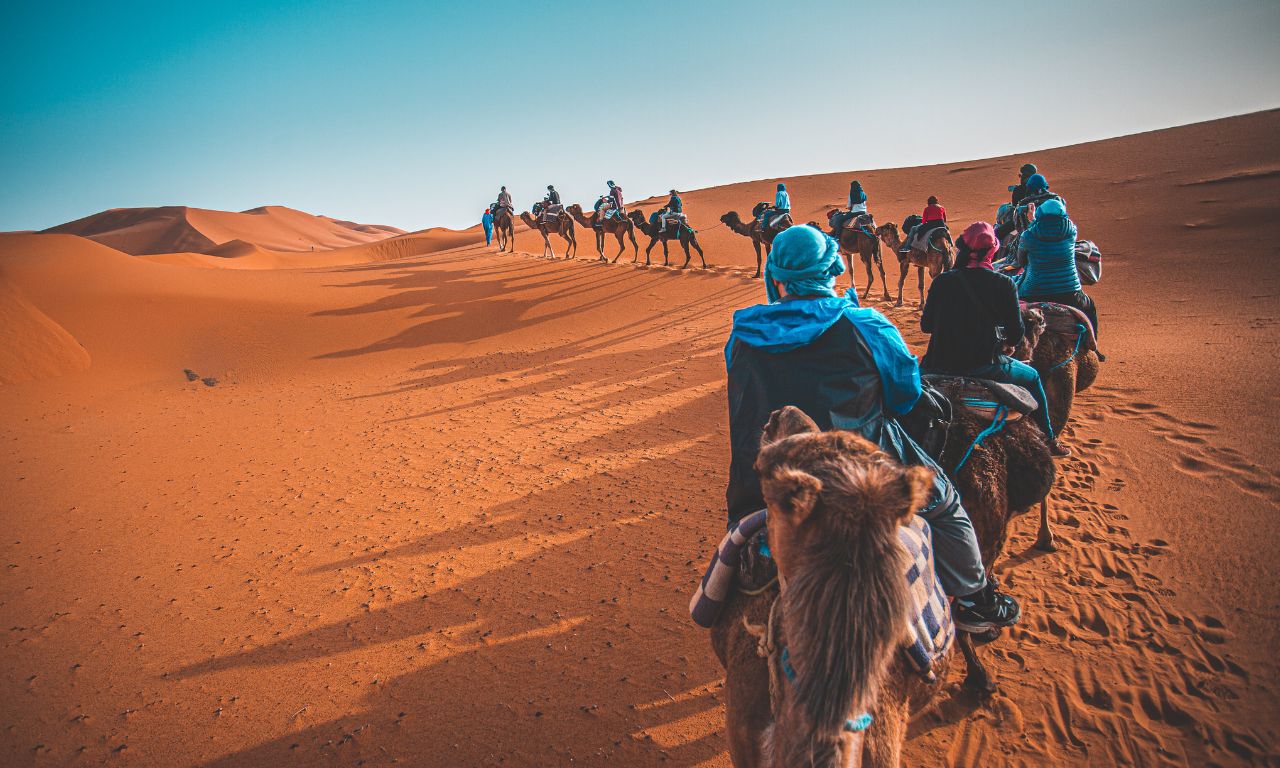 Caravana de camellos en Marruecos