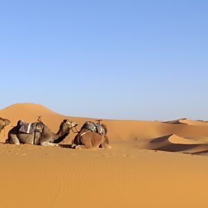 Marruecos en autocaravana: Ciudades Sagradas y Gran Desierto (16 días)